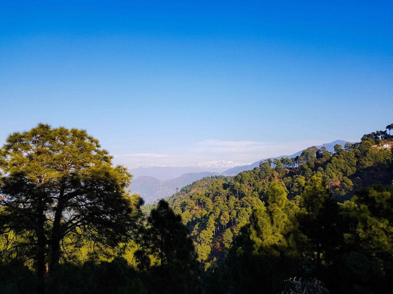 Hotel Homely Abode Dalhousie Buitenkant foto